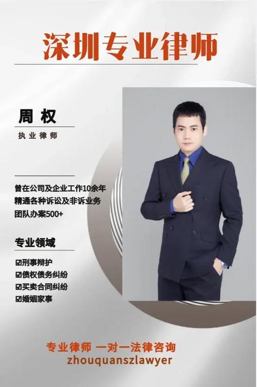 知識(shí)產(chǎn)權(quán)與國(guó)際法律服務(wù) 代理訴訟與跨國(guó)事務(wù)處理指南